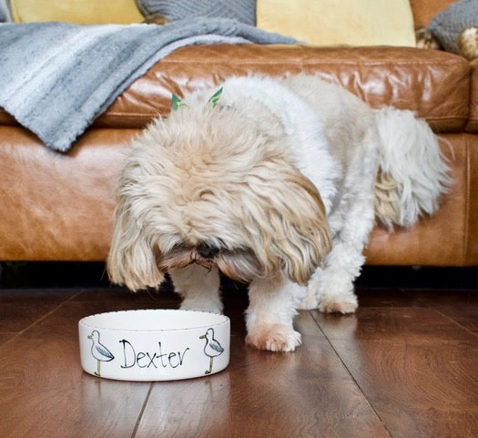 Personalised Seagull Stamp Dog Bowls