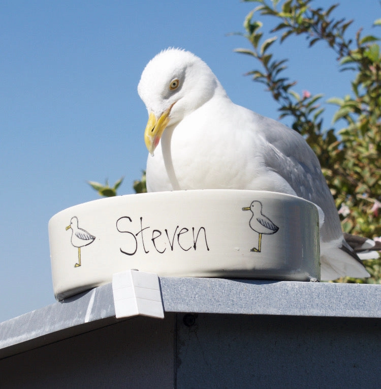 Personalised Seagull Stamp Dog Bowls