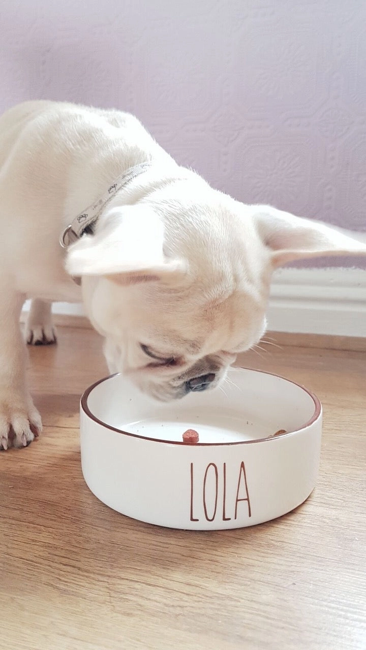 Personalised Skinny Font Dog Bowls