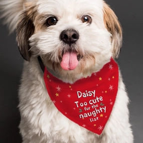 Personalised Too cute for the naughty list Dog Bandana
