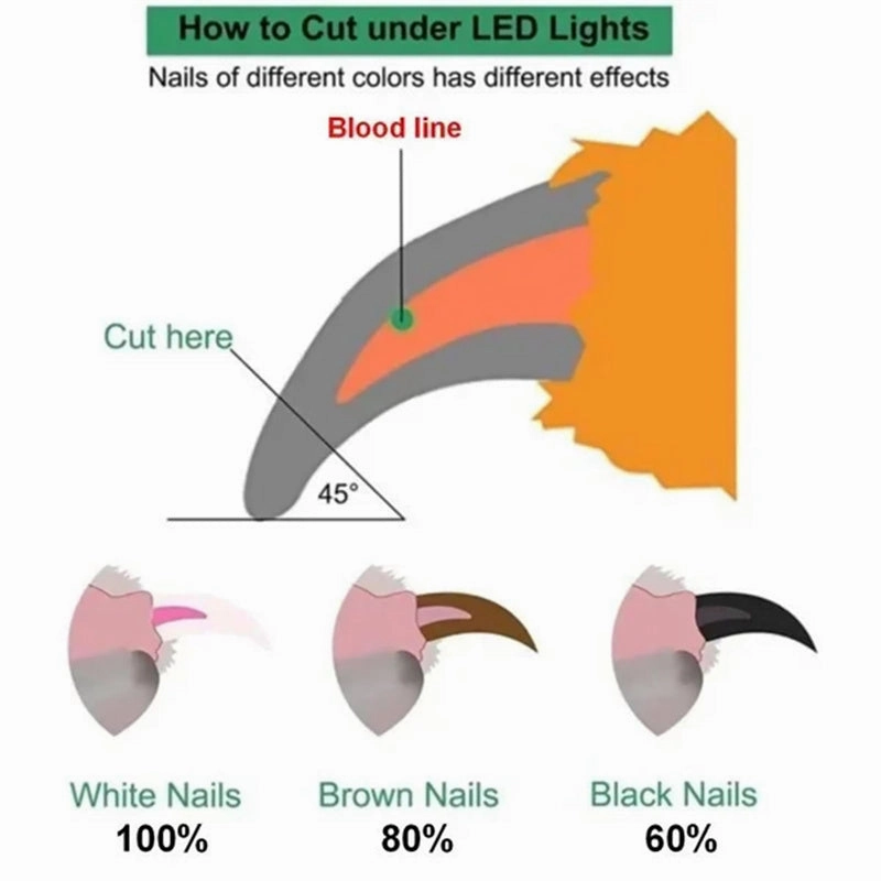 Pet Nail Clippers With LED Light Dogs Cat Nail Scissors Professional Trimmer
