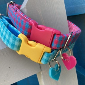 Picnic Checked Dog Collar with Velvet Lining