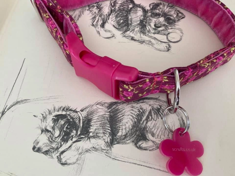 Plumpton Designer Dog Collar
