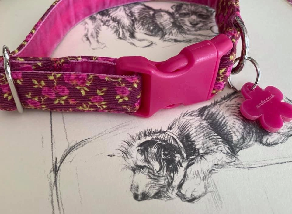 Plumpton Designer Dog Collar