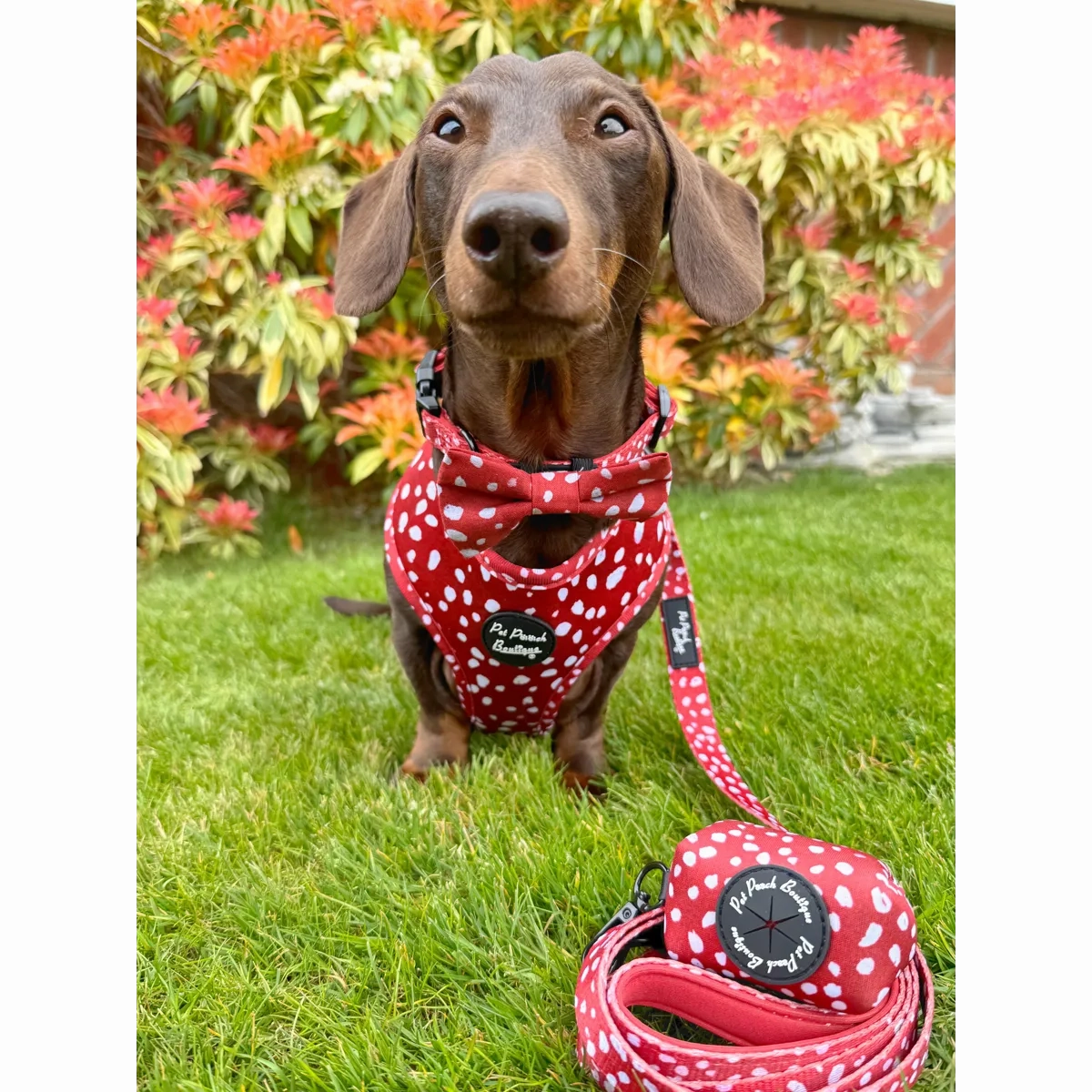 Poppy Toadstool Polka Poo Bag Holder
