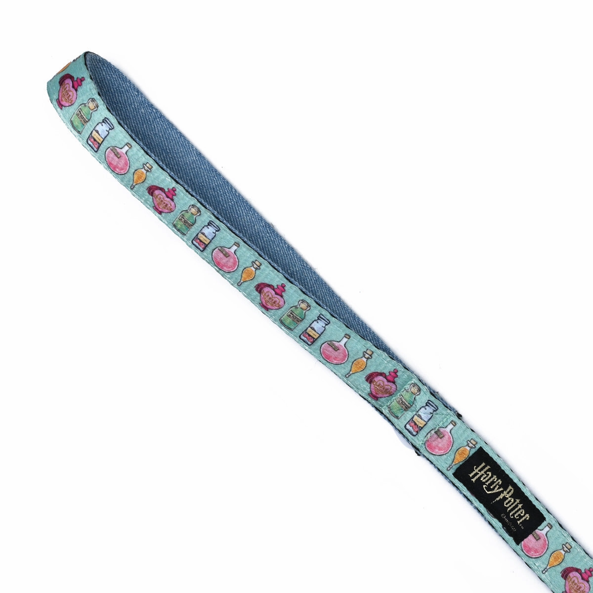 Potions in Motions Dog Leash