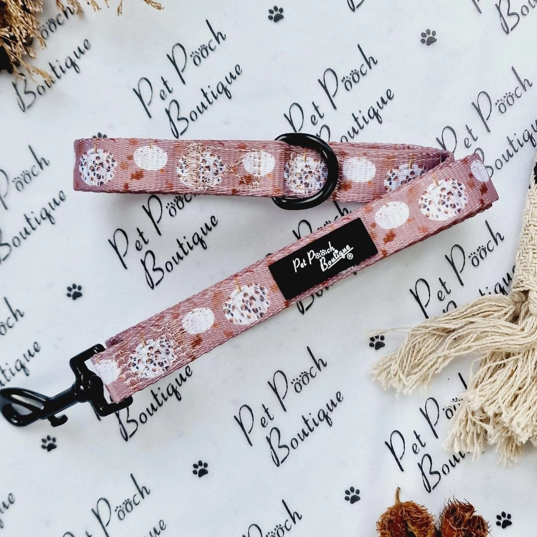 Pumpkin Leopard Latte Dog Harness