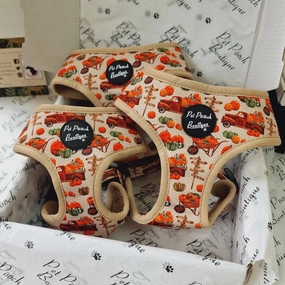 Pumpkin Patch Cart Dog Harness
