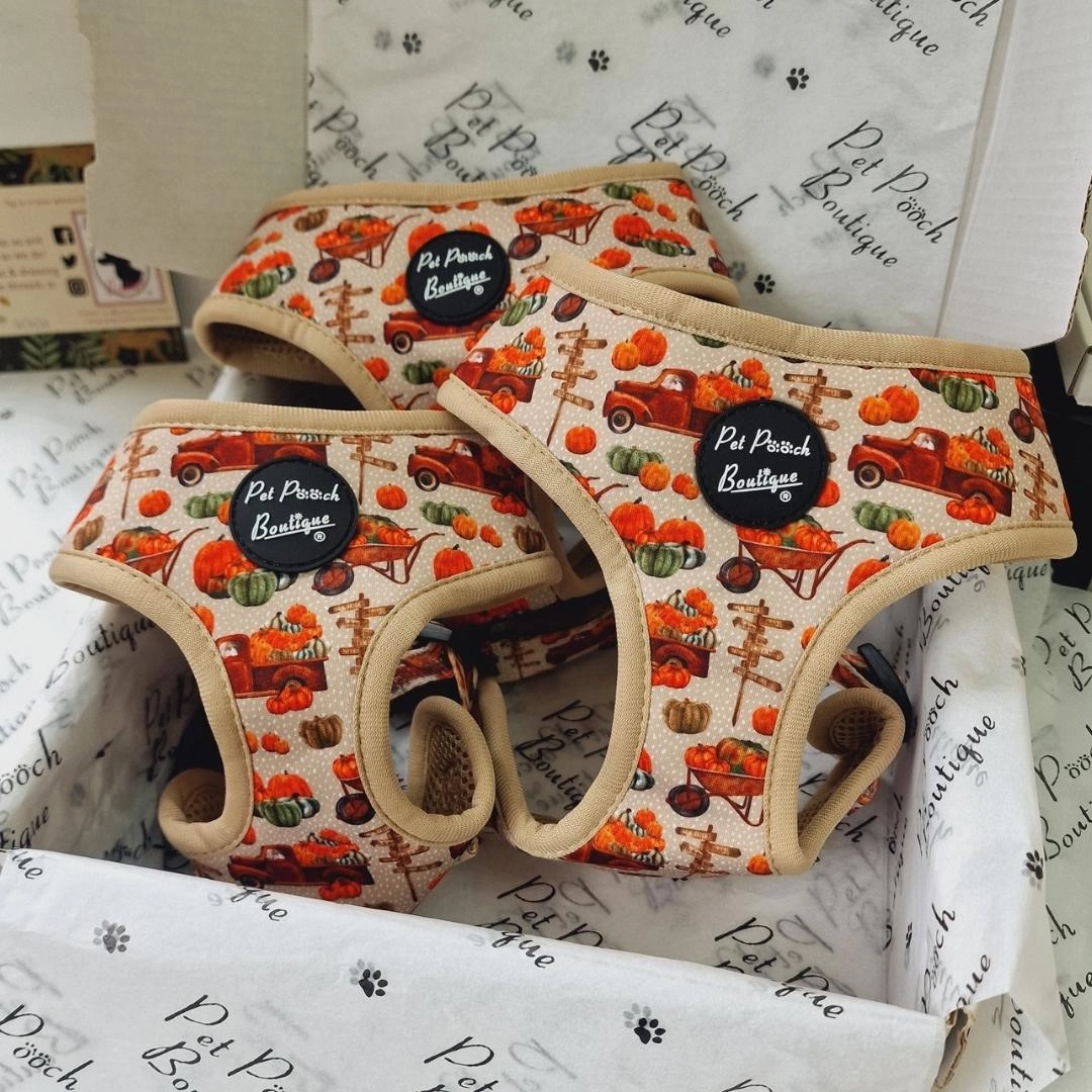 Pumpkin Patch Cart Dog Harness