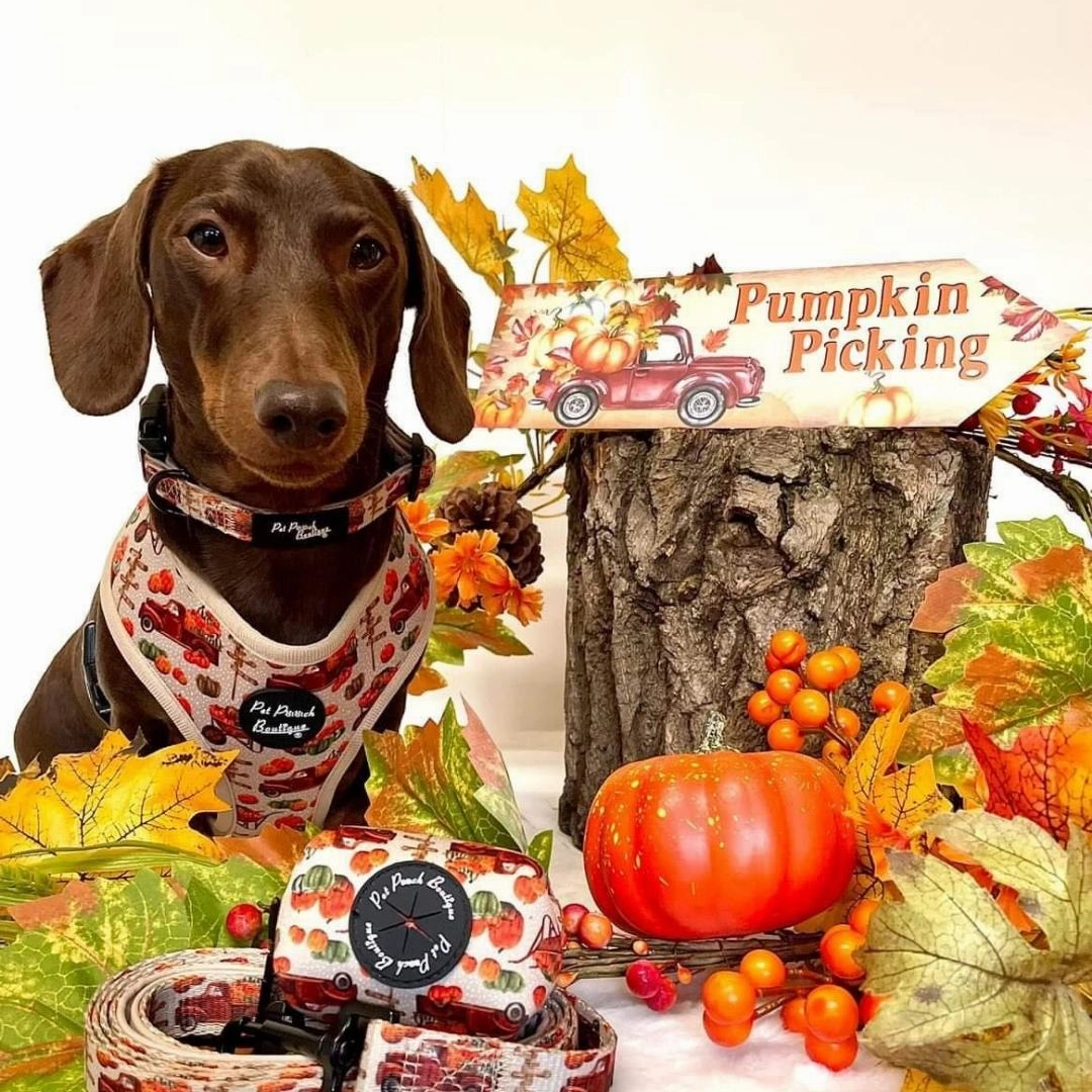 Pumpkin Patch Cart Poo Bag Holder