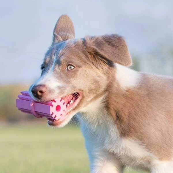 Puppy Teething Stick