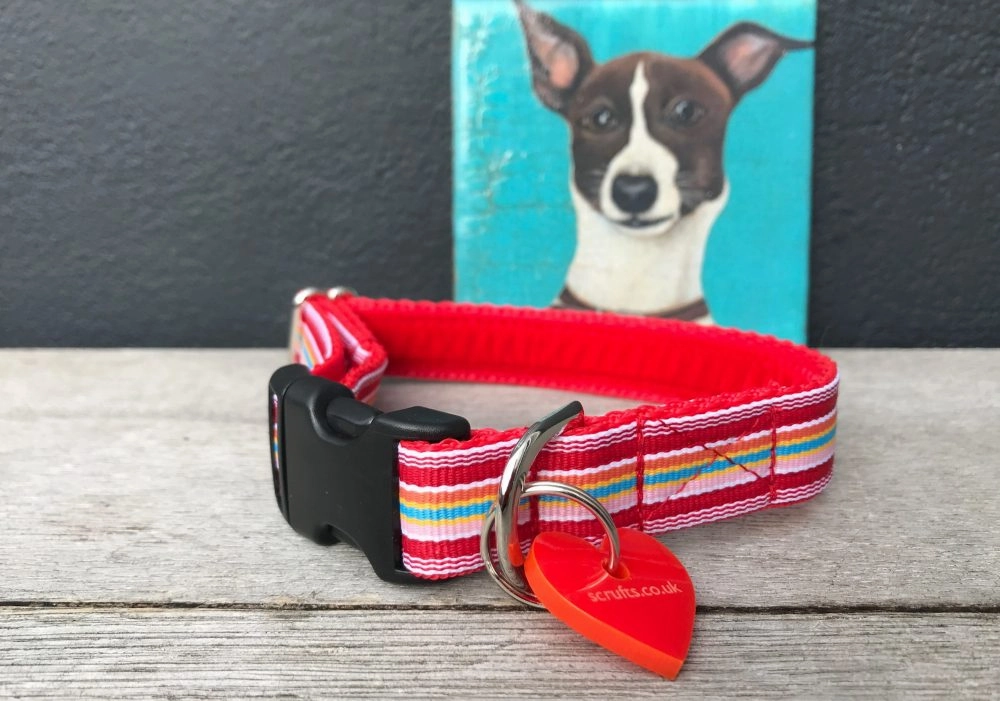 Raspberry Ripple Dog Collar and Lead Set