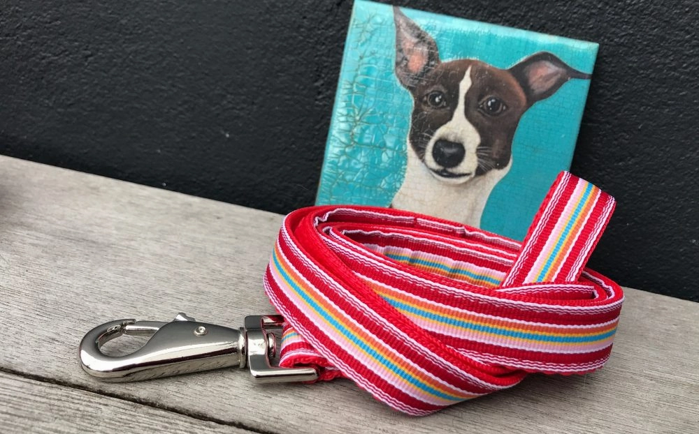 Raspberry Ripple Dog Collar and Lead Set