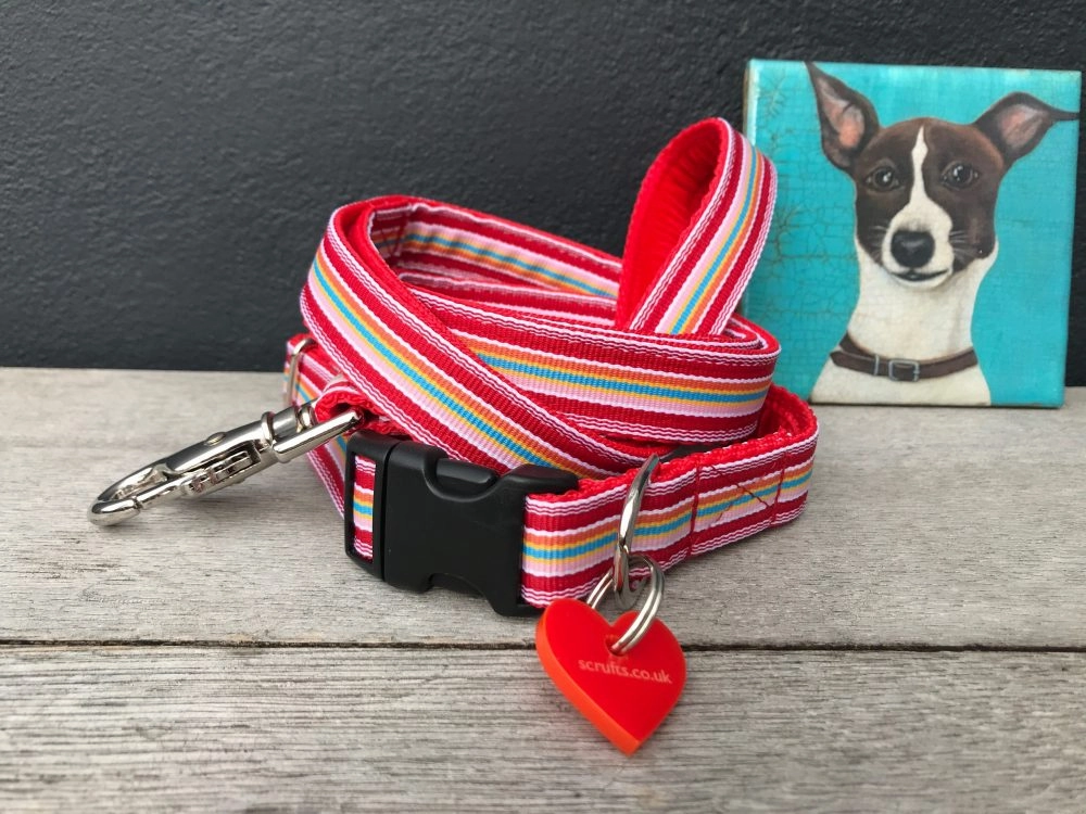 Raspberry Ripple Dog Collar and Lead Set