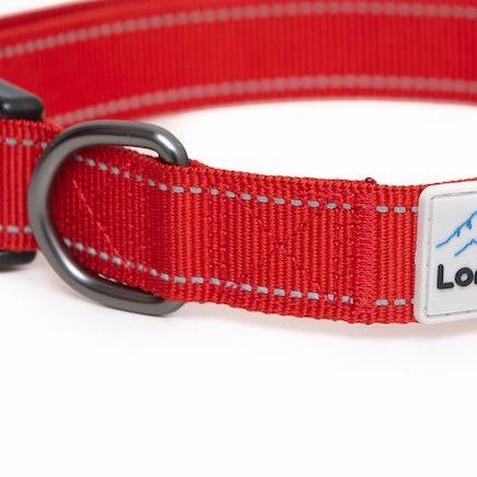 Red Reflective Dog Collar