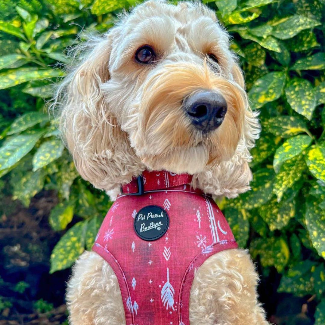 Red Titan Dog Harness