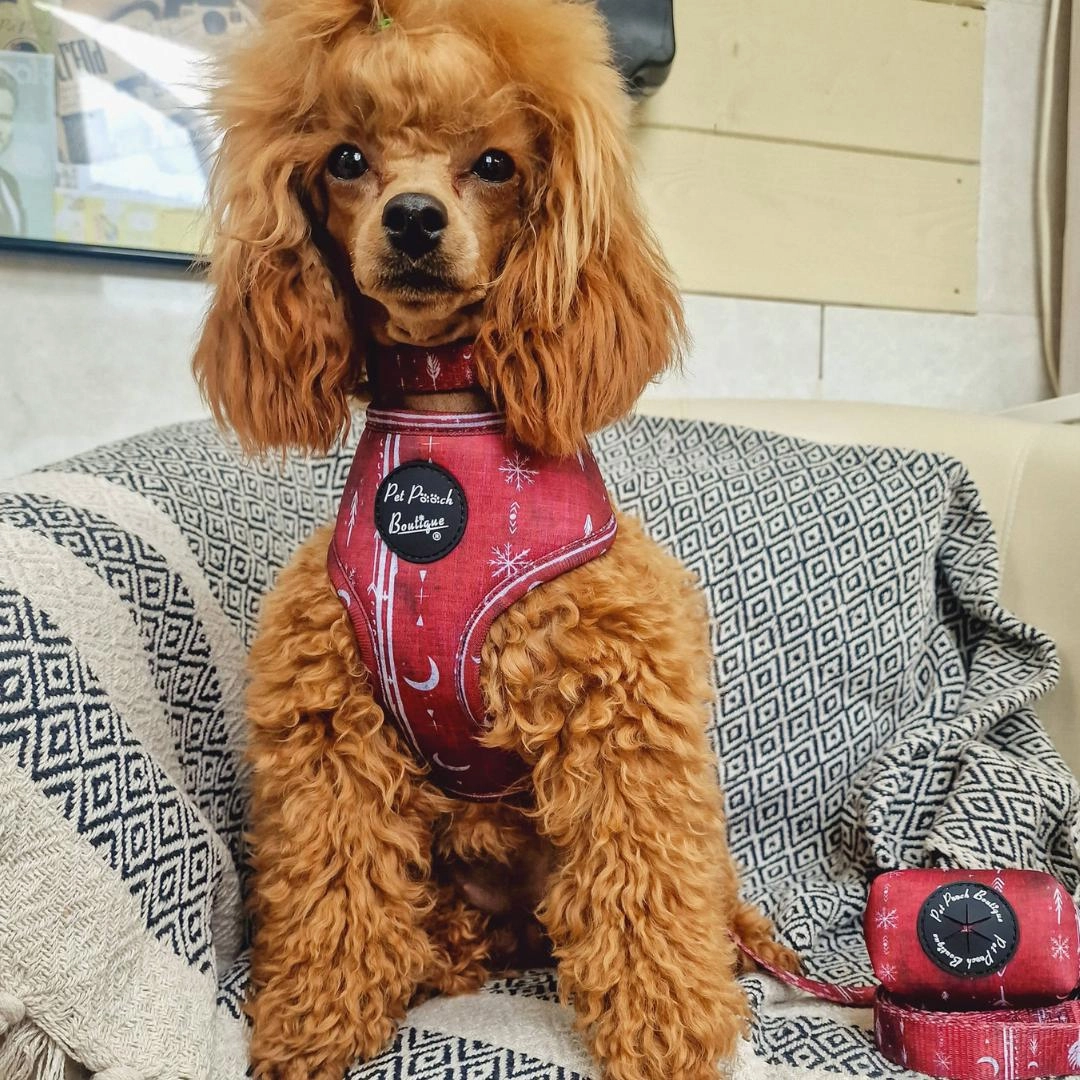 Red Titan Dog Harness