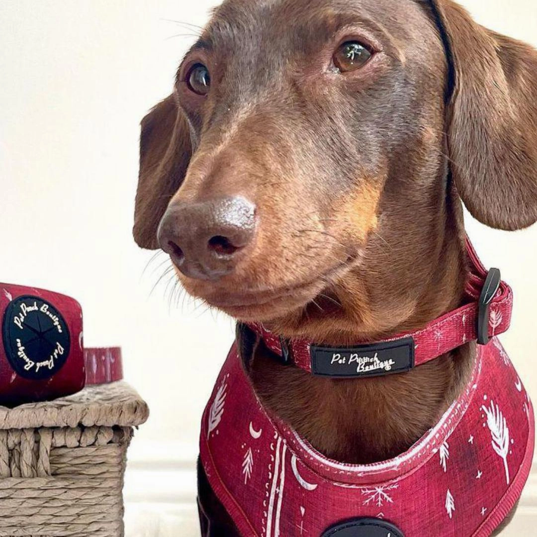 Red Titan Dog Harness