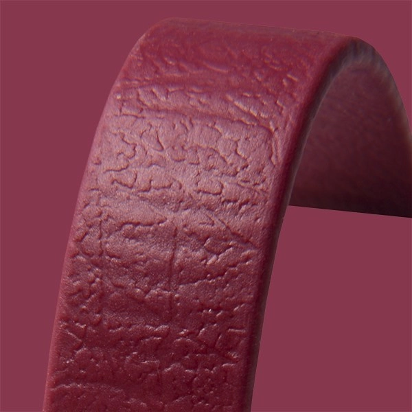 Red Wine Biothane Dog Collar