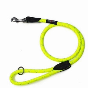 Reflective Neon Rope Dog Lead