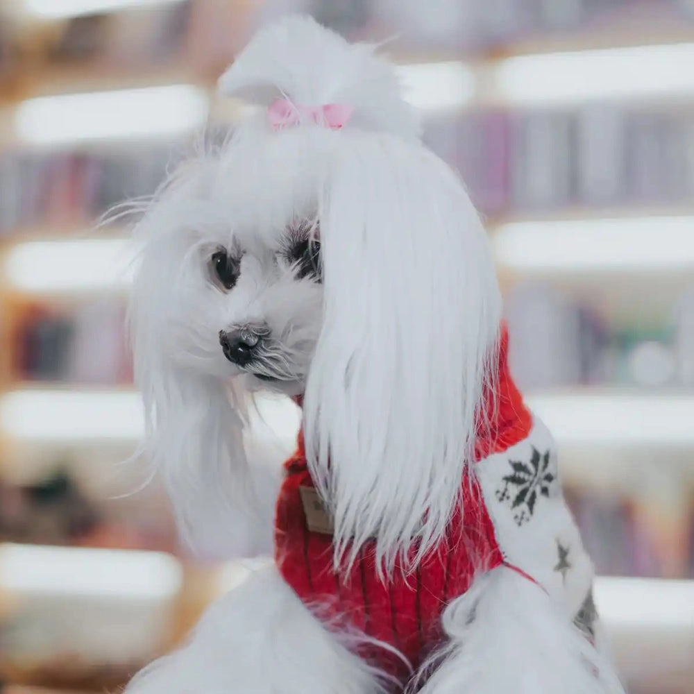 Reindeer Christmas Dog Jumper by Bowl and Bone