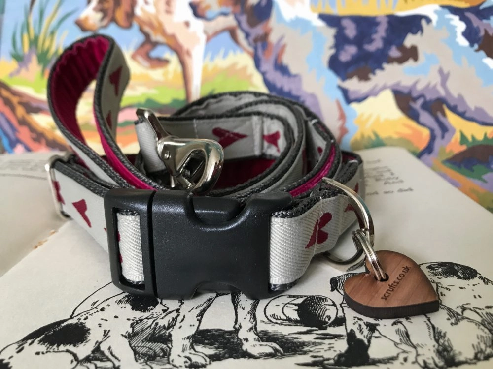 Rhubi Designer Dog Collar And Lead Set