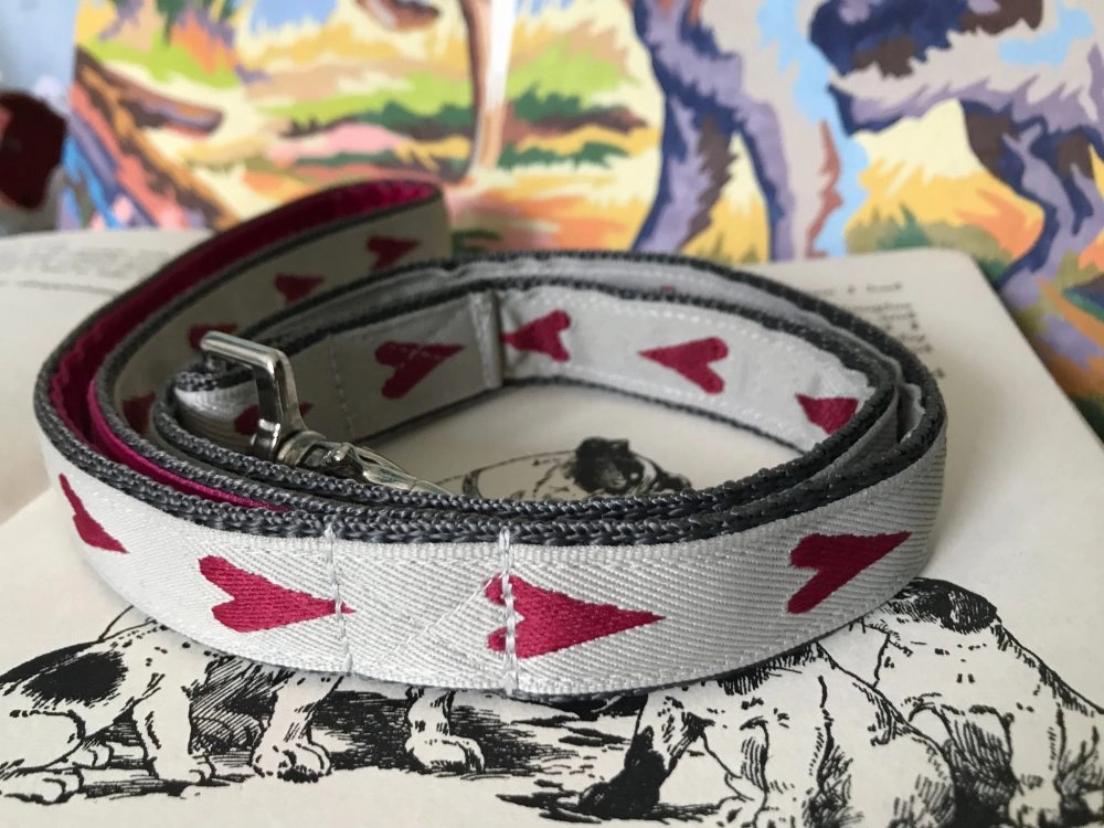 Rhubi Designer Dog Collar And Lead Set