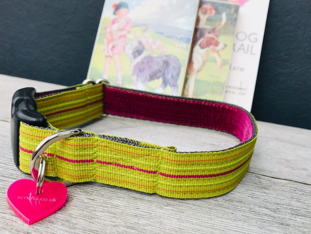 Roobarb Striped Dog Collar and Lead Set