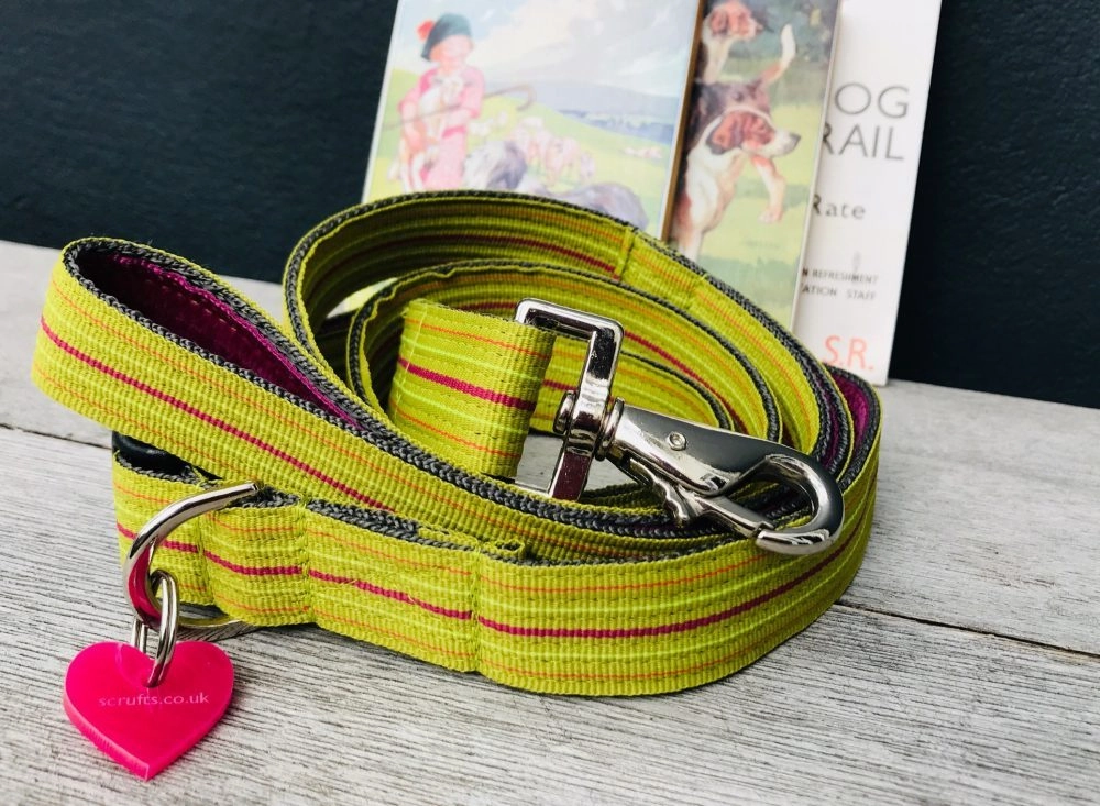 Roobarb Striped Dog Collar and Lead Set