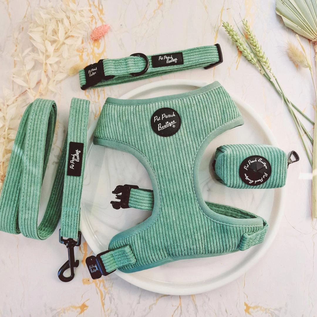 Sage Green Cord Dog Harness