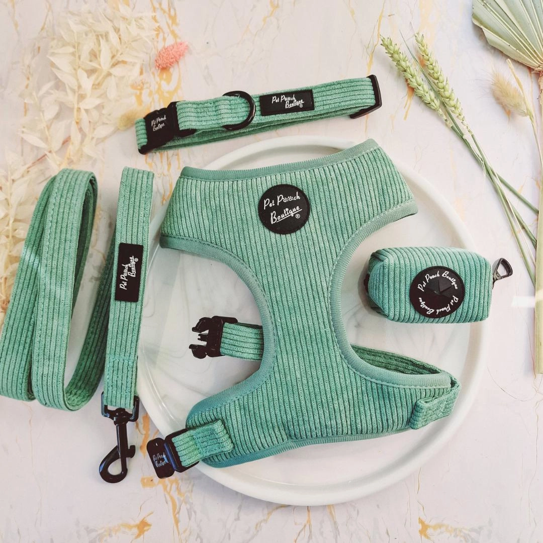 Sage Green Cord Dog Harness
