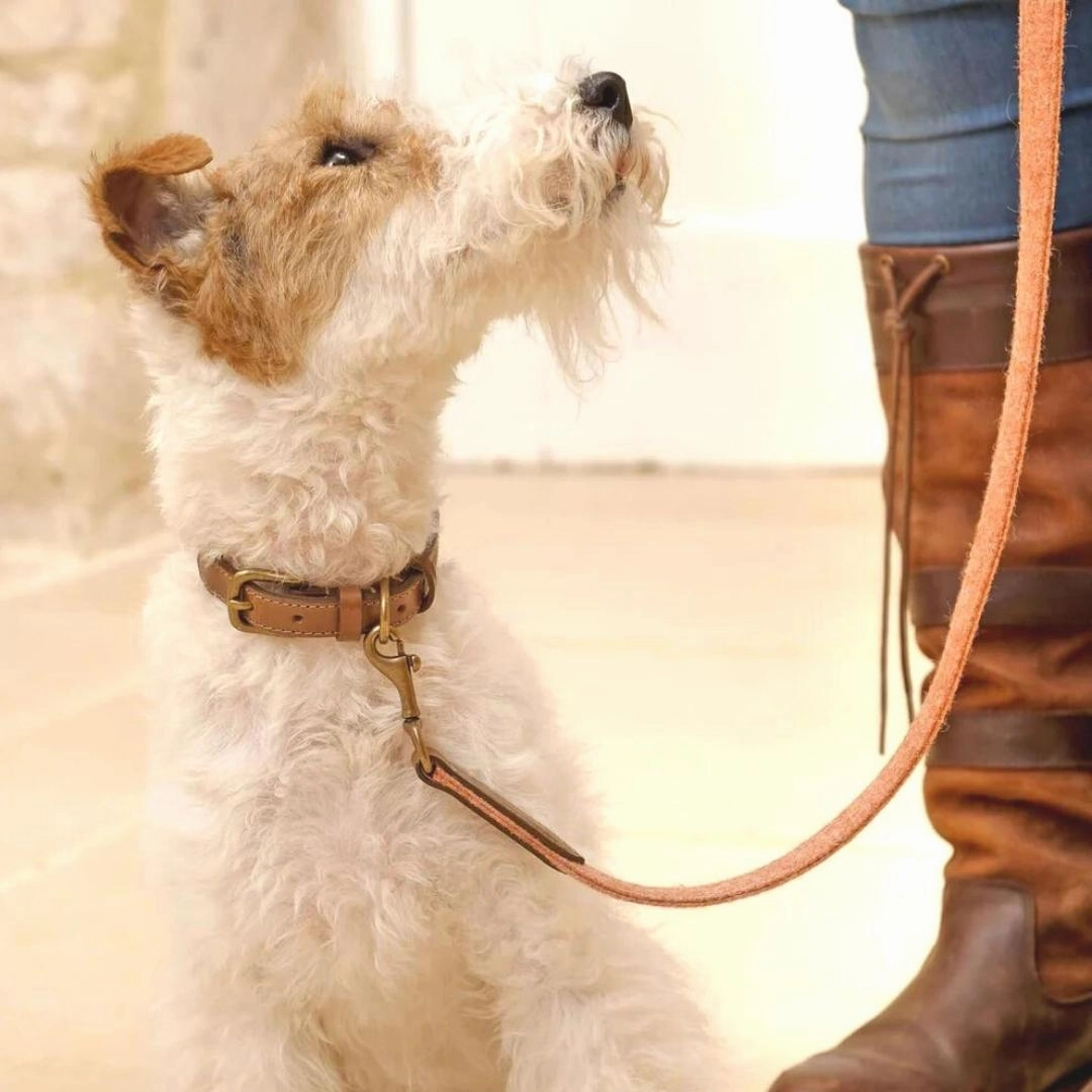 Sandstone Tweed & Leather Dog Lead