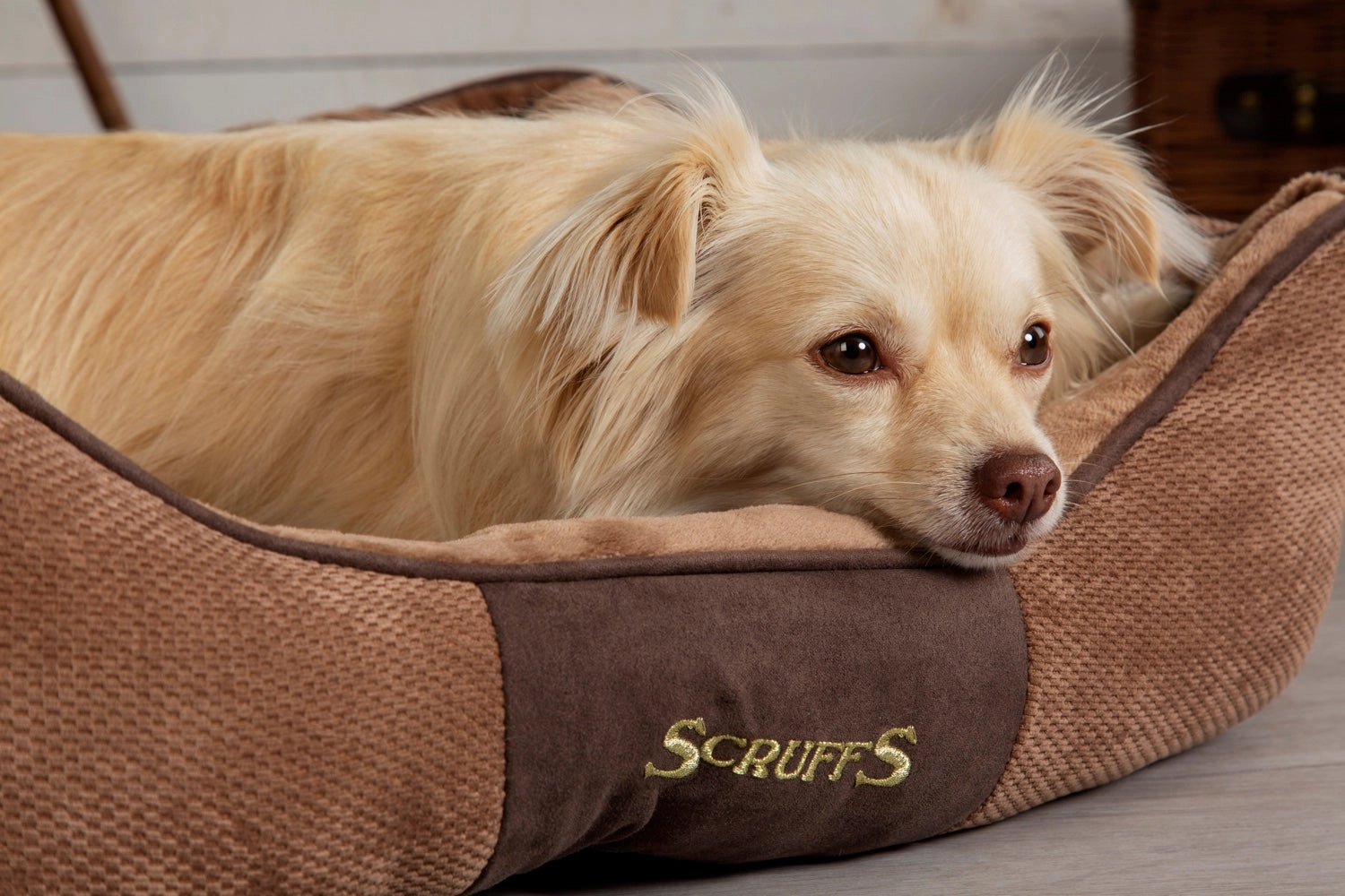 Scruffs Chester Box Bed Chocolate