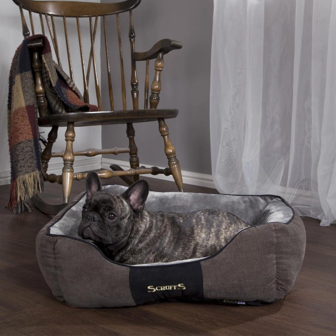 Scruffs Chester Box Bed Graphite