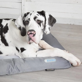 Scruffs Dog Cool Bed