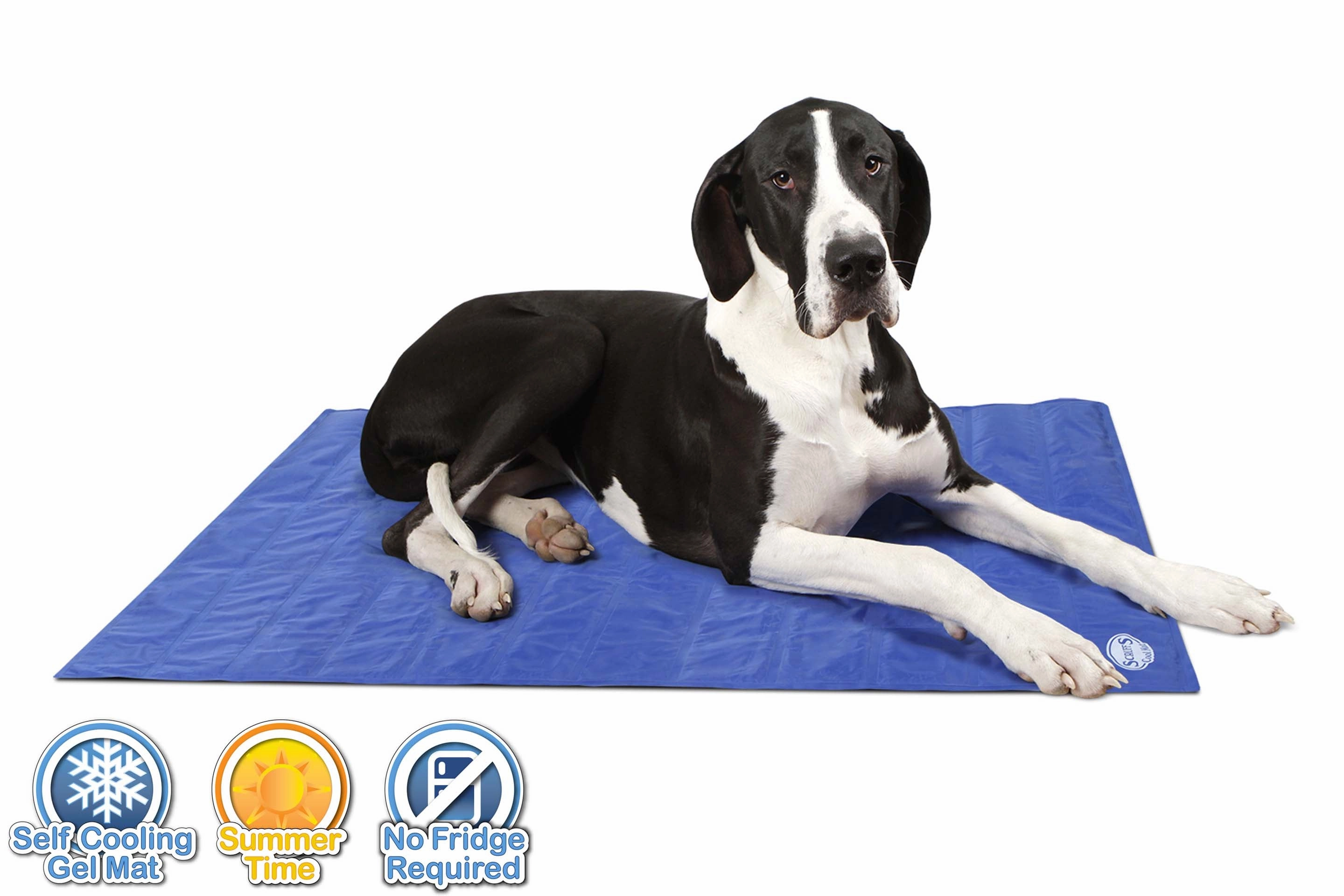 Scruffs Dog Cooling Mat