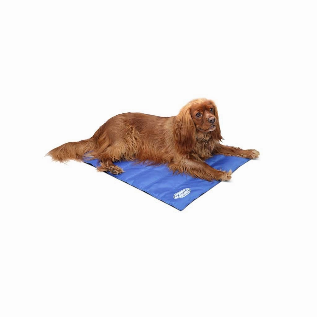 Scruffs Dog Cooling Mat