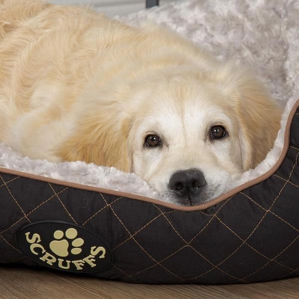 Scruffs Wilton Box Dog Bed Black