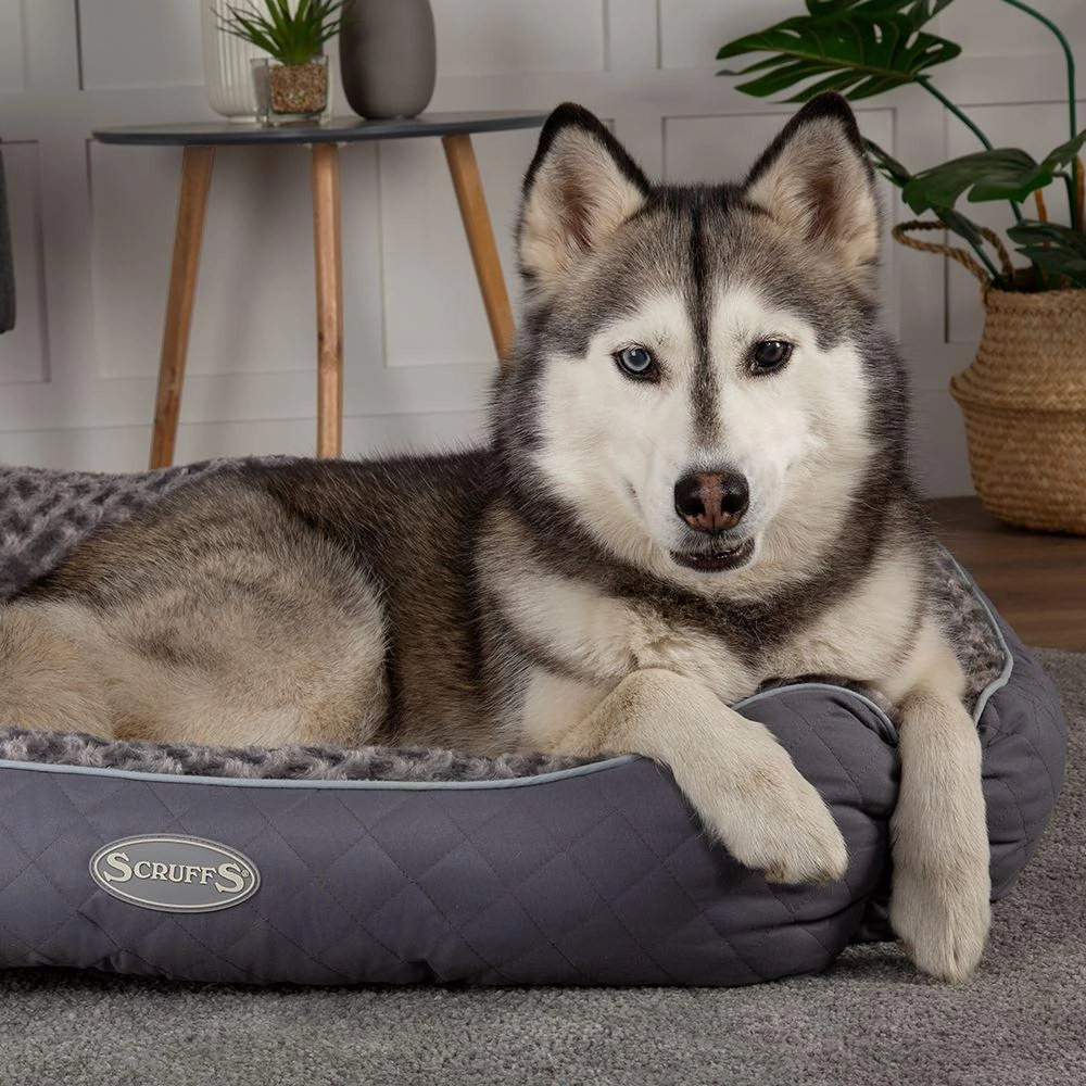 Scruffs Wilton Box Dog Bed Grey
