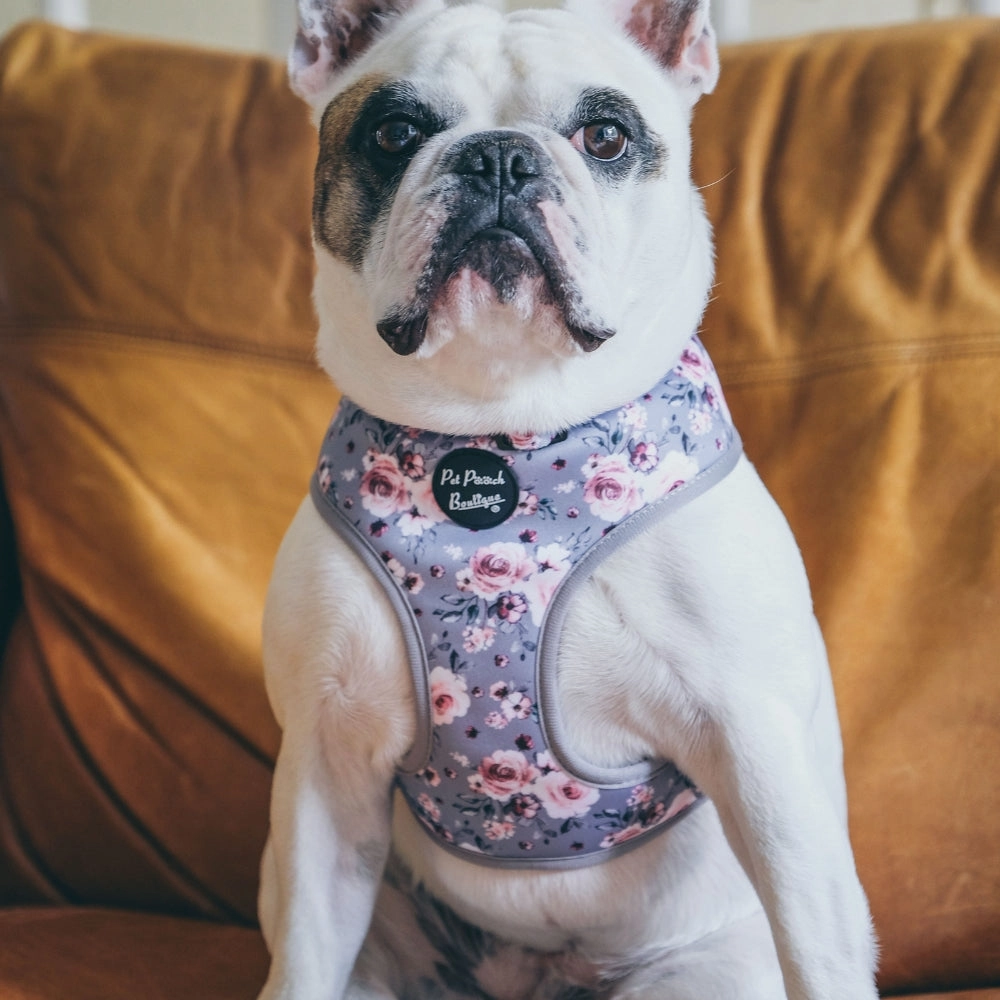 Secret Garden Floral Dog Harness
