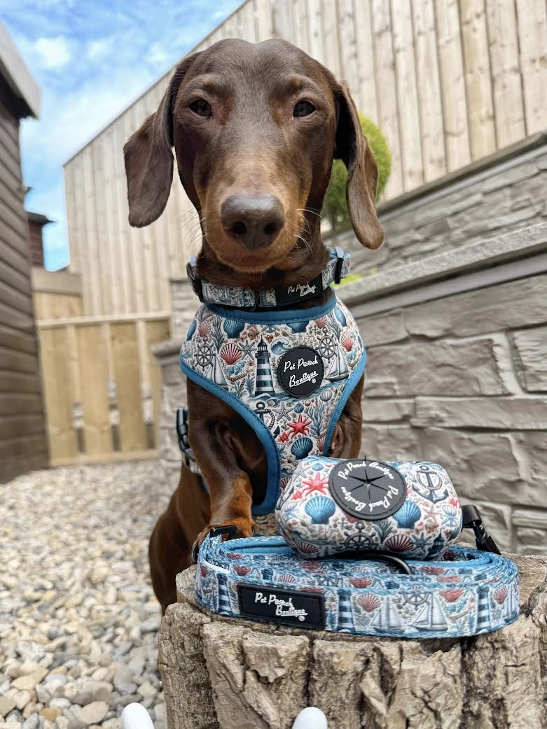 Shipwrecked Nautical Dog Harness