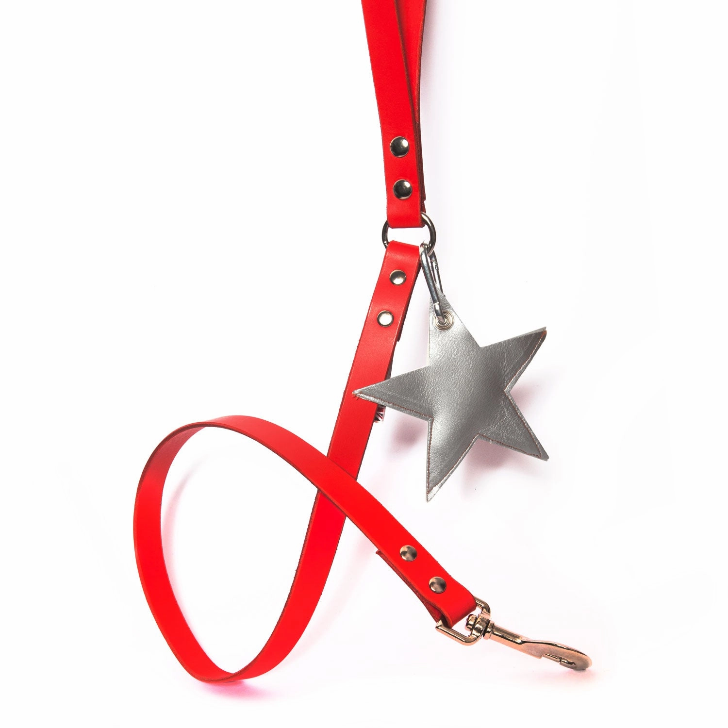 SIlver Leather Star Poo Bag Pouch