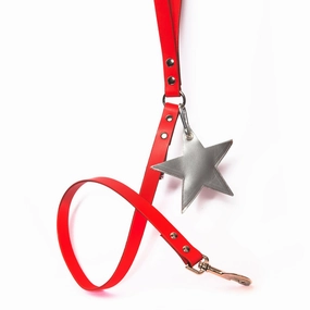 SIlver Leather Star Poo Bag Pouch