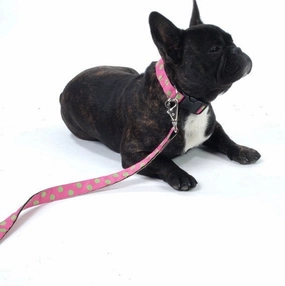 Sorbet Designer Dog Collar and Lead Set