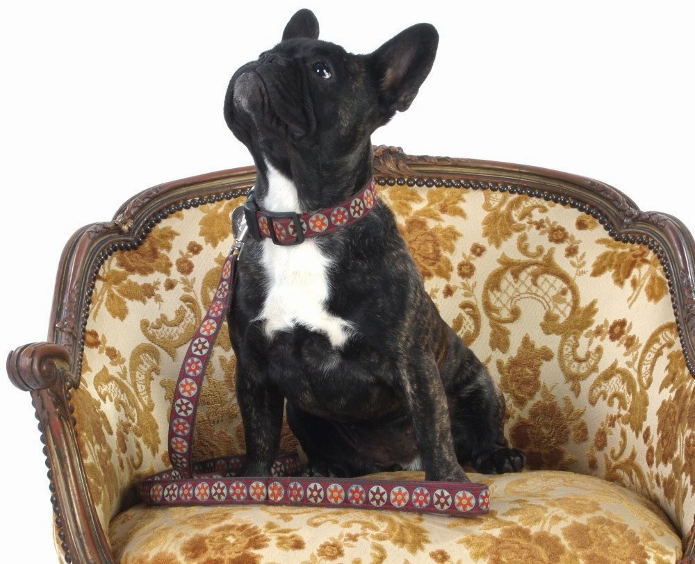 Spangles Dog Collar and Lead Set