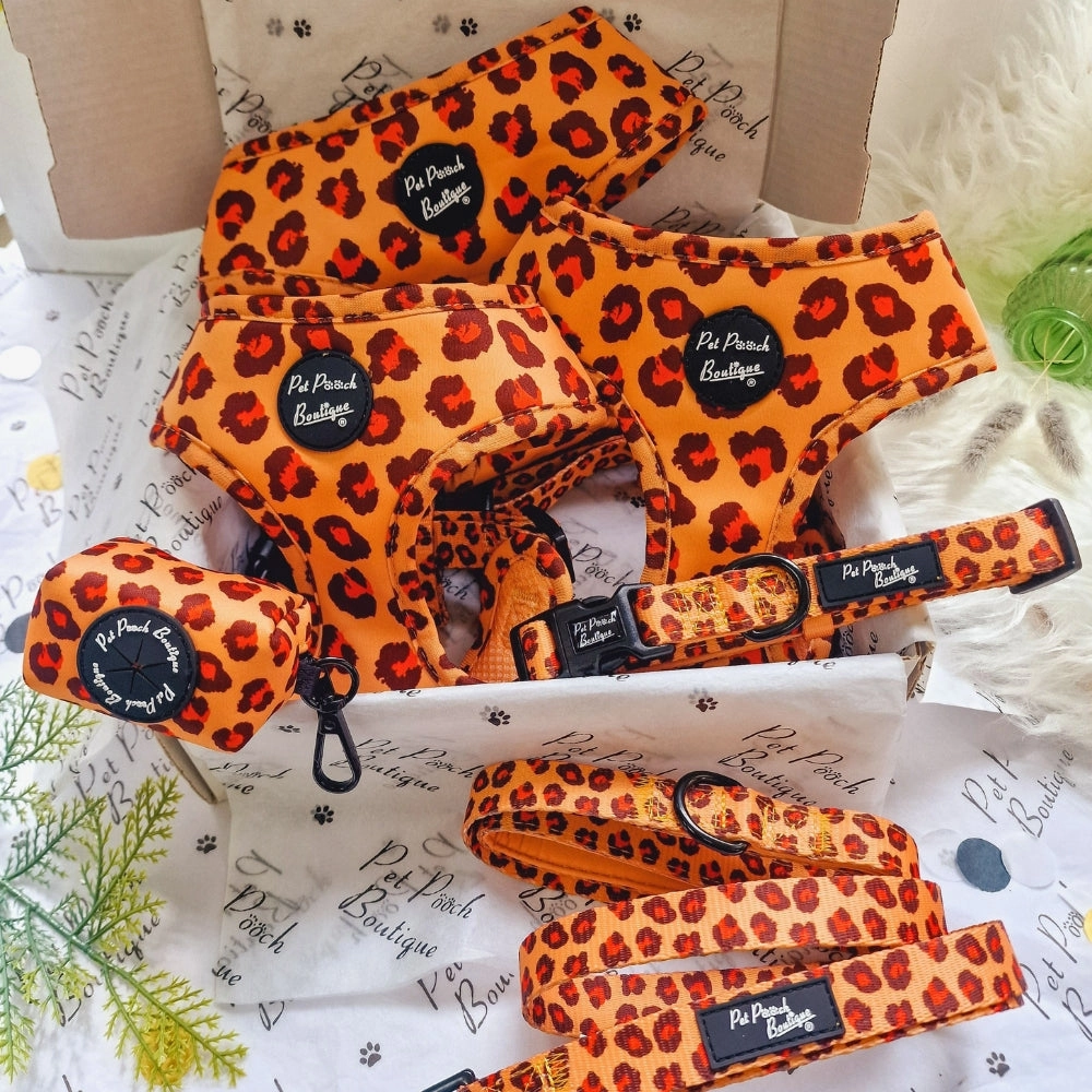 Spiced Honey Leopard Dog Collar