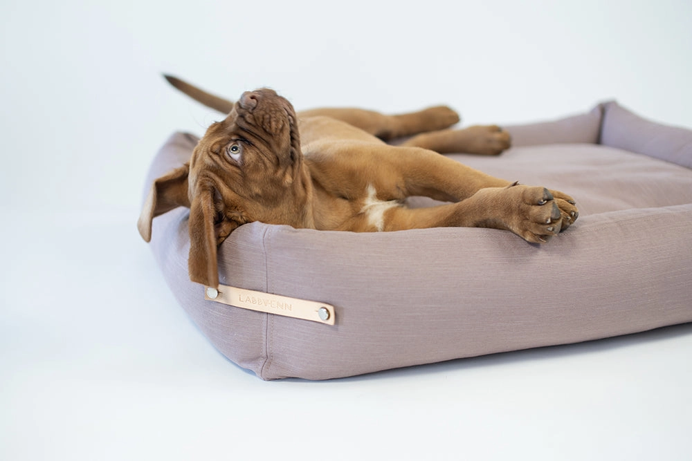 Stokke Pink Dog Bed by Labbvenn