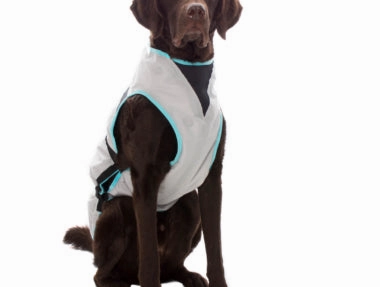 Suitical Dry Dog Cooling Vest