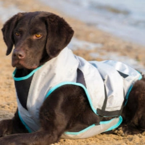 Suitical Dry Dog Cooling Vest
