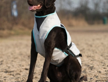 Suitical Dry Dog Cooling Vest